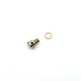 TORNILLO TAPON SONDA EGT 2T M8X10/100